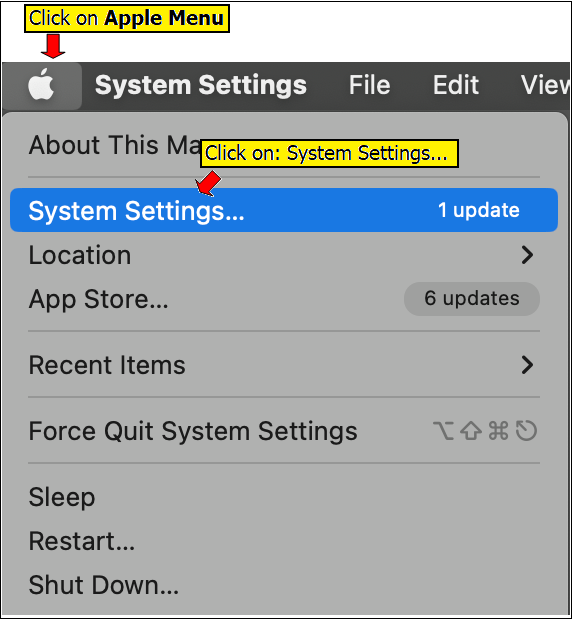 Cancel Proxy settings on MAC (OS13 anf higher)